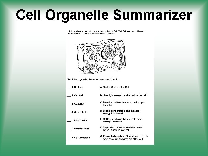 Cell Organelle Summarizer 