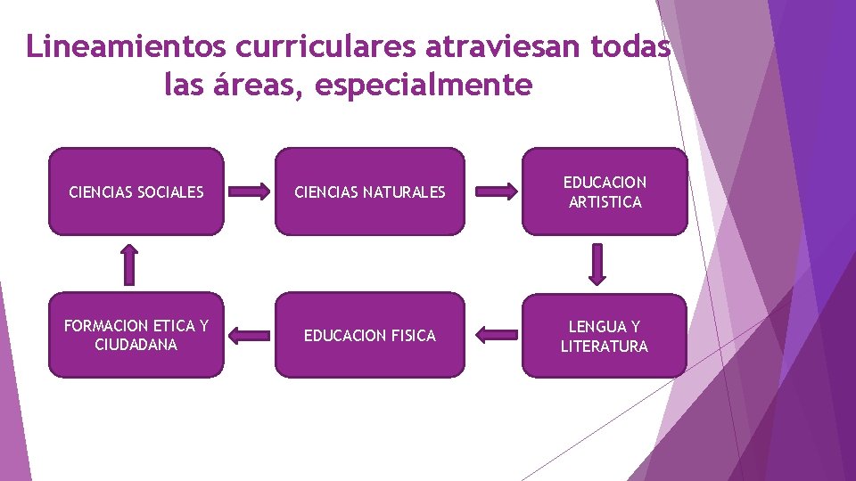 Lineamientos curriculares atraviesan todas las áreas, especialmente CIENCIAS SOCIALES CIENCIAS NATURALES EDUCACION ARTISTICA FORMACION