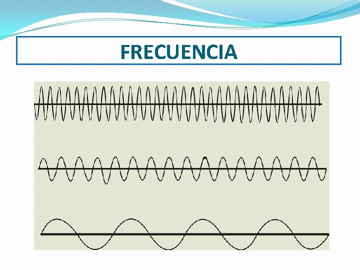 FRECUENCIA 