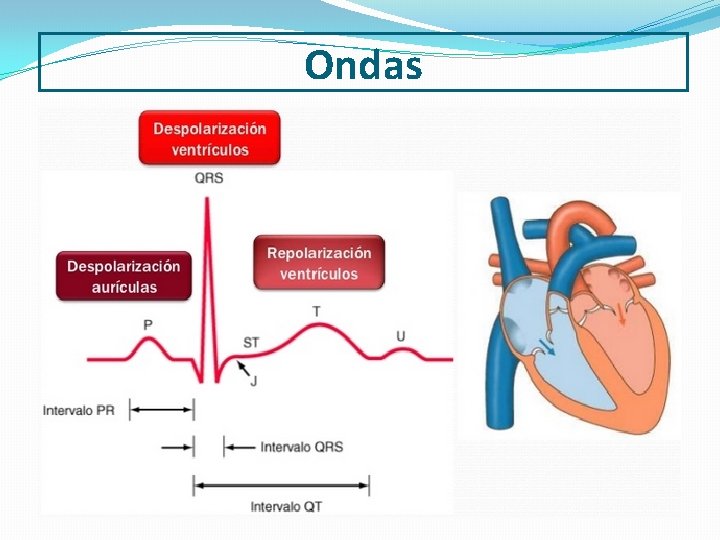 Ondas 