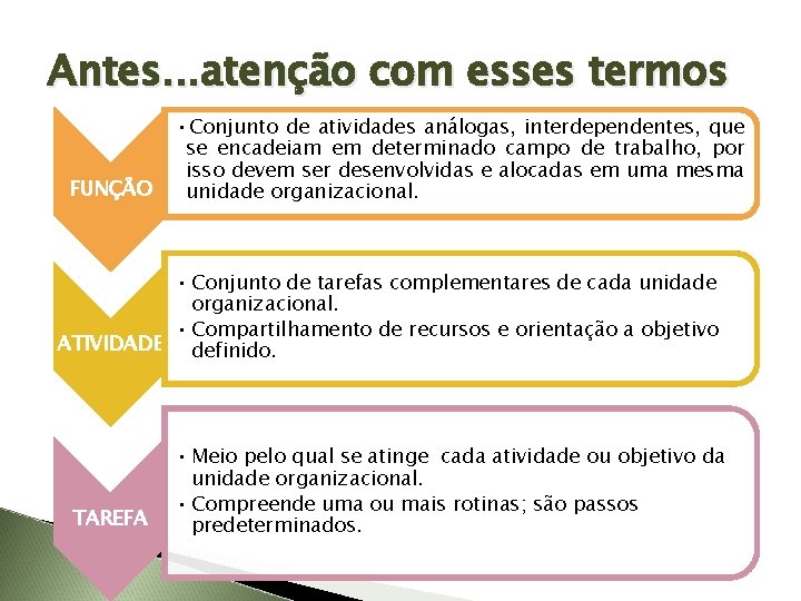Antes. . . atenção com esses termos FUNÇÃO • Conjunto de atividades análogas, interdependentes,