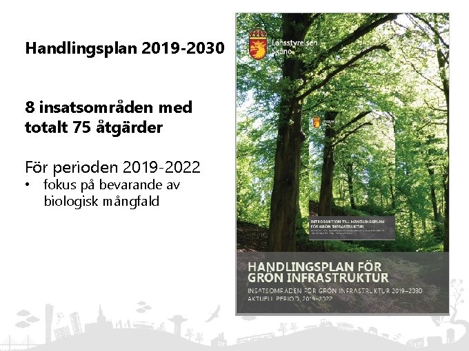 Handlingsplan 2019 -2030 8 insatsområden med totalt 75 åtgärder För perioden 2019 -2022 •