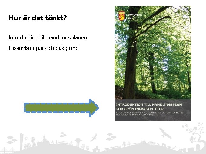 Hur är det tänkt? Introduktion till handlingsplanen Läsanvisningar och bakgrund 