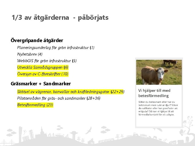 1/3 av åtgärderna - påbörjats Övergripande åtgärder Planeringsunderlag för grön infrastruktur (1) Nyhetsbrev (4)