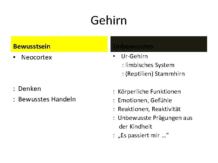 Gehirn Bewusstsein Unbewusstes • Neocortex • Ur-Gehirn : limbisches System : (Reptilien) Stammhirn :