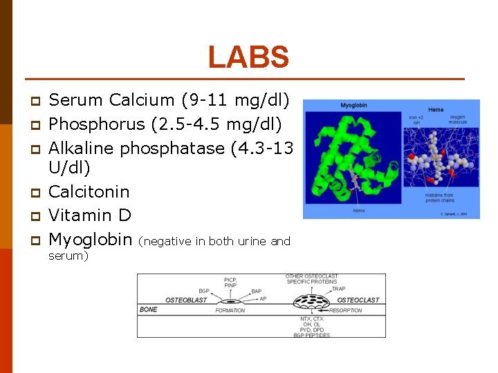 LABS p p p Serum Calcium (9 -11 mg/dl) Phosphorus (2. 5 -4. 5