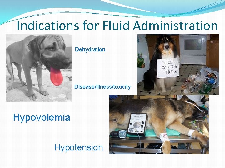 Indications for Fluid Administration Dehydration Disease/illness/toxicity Hypovolemia Hypotension 