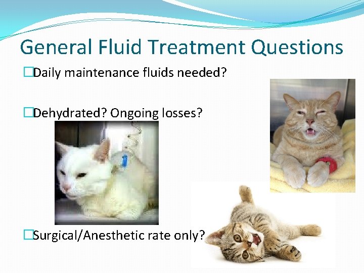 General Fluid Treatment Questions �Daily maintenance fluids needed? �Dehydrated? Ongoing losses? �Surgical/Anesthetic rate only?