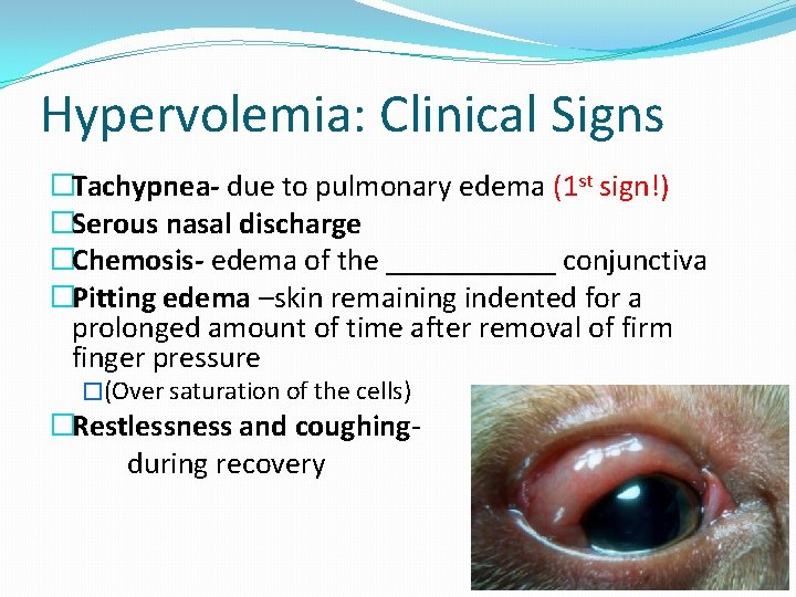 Hypervolemia: Clinical Signs �Tachypnea- due to pulmonary edema (1 st sign!) �Serous nasal discharge