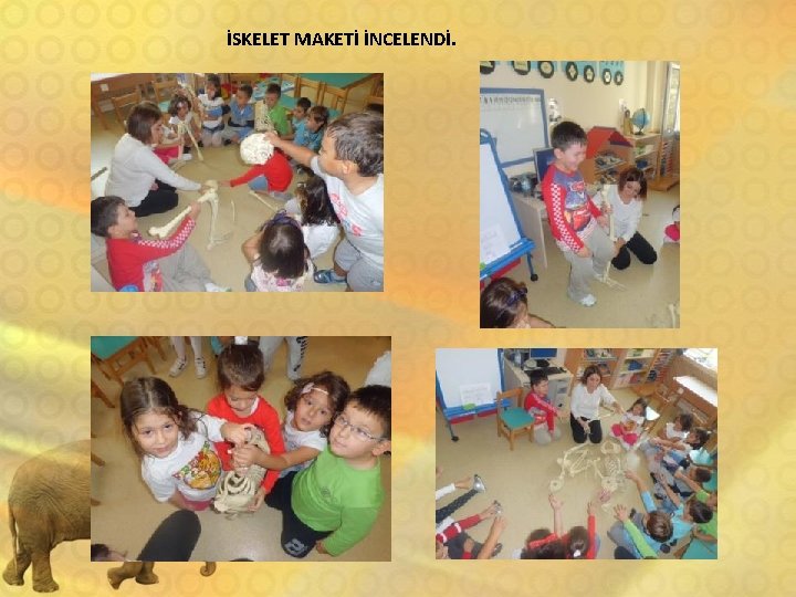 İSKELET MAKETİ İNCELENDİ. 