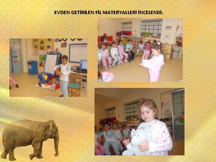 EVDEN GETİRİLEN FİL MATERYALLERİ İNCELENDİ. 