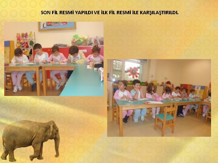 SON FİL RESMİ YAPILDI VE İLK FİL RESMİ İLE KARŞILAŞTIRILDI. 