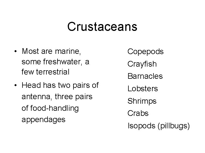 Crustaceans • Most are marine, some freshwater, a few terrestrial Copepods • Head has