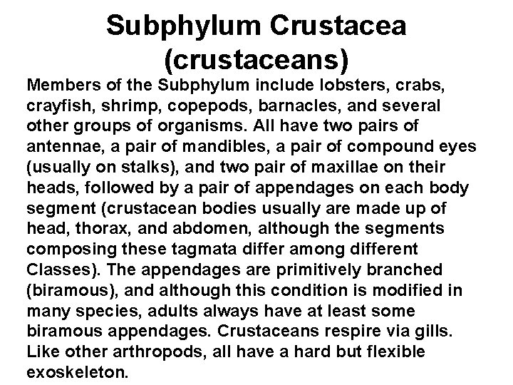 Subphylum Crustacea (crustaceans) Members of the Subphylum include lobsters, crabs, crayfish, shrimp, copepods, barnacles,