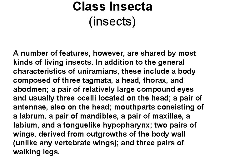 Class Insecta (insects) A number of features, however, are shared by most kinds of