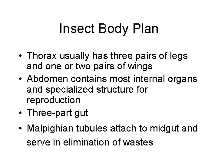 Insect Body Plan • Thorax usually has three pairs of legs and one or