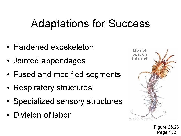 Adaptations for Success • Hardened exoskeleton • Jointed appendages Do not post on Internet