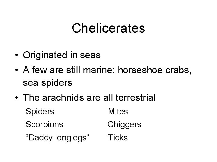 Chelicerates • Originated in seas • A few are still marine: horseshoe crabs, sea