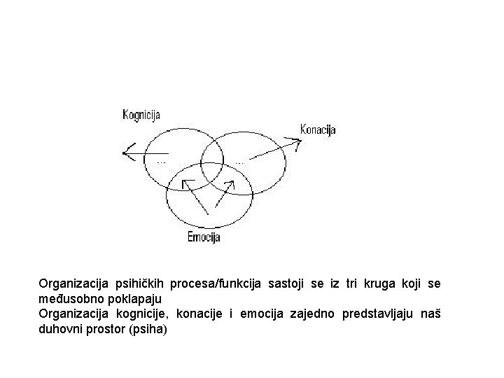 Organizacija psihičkih procesa/funkcija sastoji se iz tri kruga koji se međusobno poklapaju Organizacija kognicije,