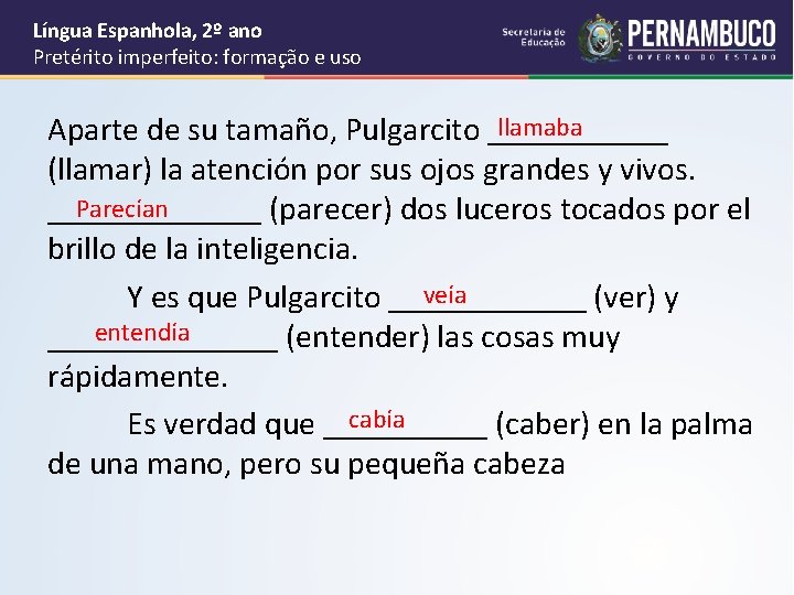 Língua Espanhola, 2º ano Pretérito imperfeito: formação e uso llamaba Aparte de su tamaño,