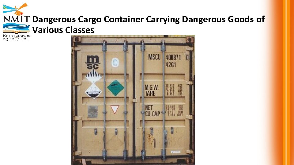 Dangerous Cargo Container Carrying Dangerous Goods of Various Classes 