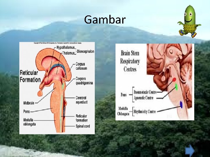 Gambar Gambar