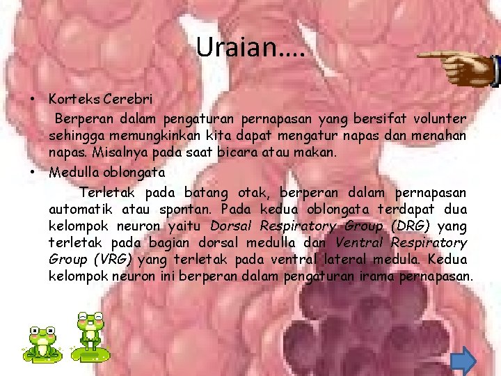Uraian…. • Korteks Cerebri Berperan dalam pengaturan pernapasan yang bersifat volunter sehingga memungkinkan kita Uraian…. • Korteks Cerebri Berperan dalam pengaturan pernapasan yang bersifat volunter sehingga memungkinkan kita