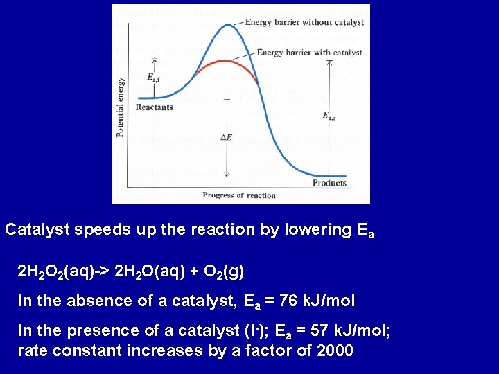 Catalyst speeds up the reaction by lowering Ea 2 H 2 O 2(aq)-> 2