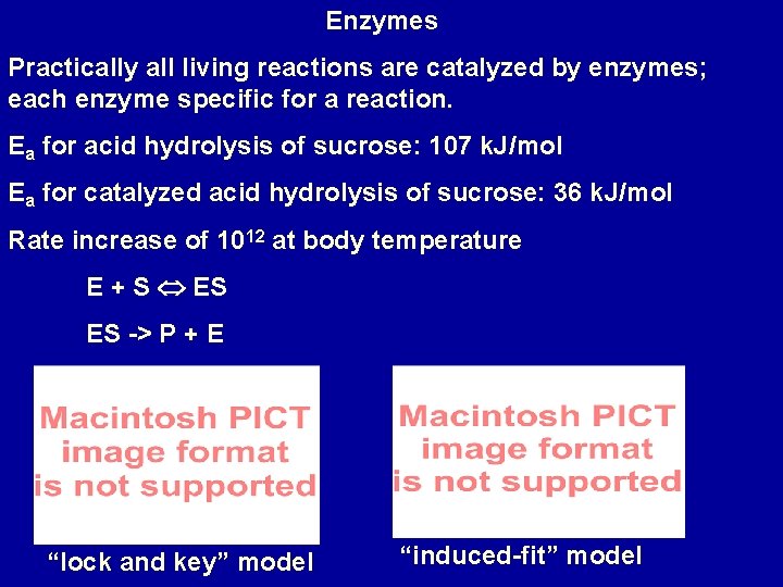 Enzymes Practically all living reactions are catalyzed by enzymes; each enzyme specific for a