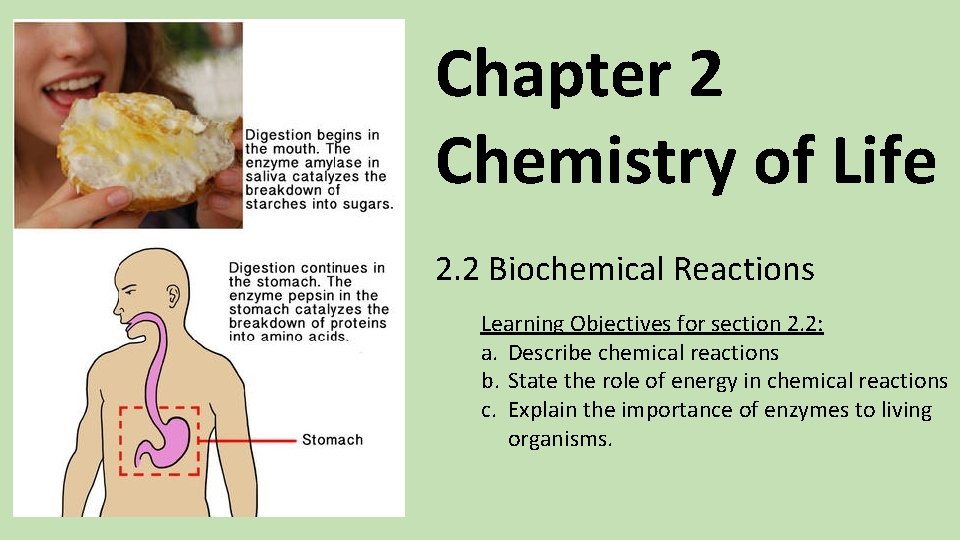 Chapter 2 Chemistry of Life 2. 2 Biochemical Reactions Learning Objectives for section 2.