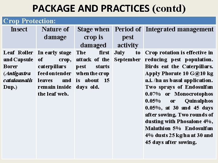 PACKAGE AND PRACTICES (contd) Crop Protection: Insect Nature of damage Leaf Roller and Capsule