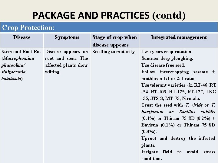 PACKAGE AND PRACTICES (contd) Crop Protection: Disease Stem and Root Rot (Macrophomina phaseolina/ Rhizoctonia PACKAGE AND PRACTICES (contd) Crop Protection: Disease Stem and Root Rot (Macrophomina phaseolina/ Rhizoctonia