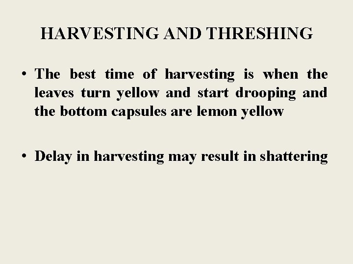 HARVESTING AND THRESHING • The best time of harvesting is when the leaves turn