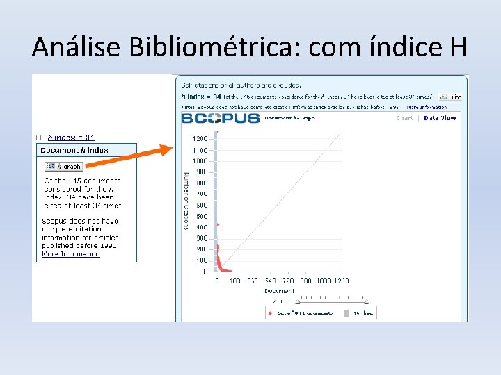 Análise Bibliométrica: com índice H 