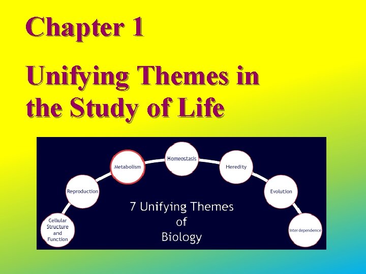 Chapter 1 Unifying Themes in the Study of Life 