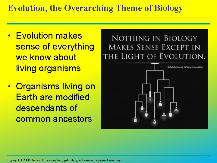 Evolution, the Overarching Theme of Biology • Evolution makes sense of everything we know