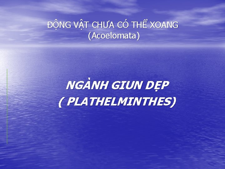 ĐỘNG VẬT CHƯA CÓ THỂ XOANG (Acoelomata) NGÀNH GIUN DẸP ( PLATHELMINTHES) 