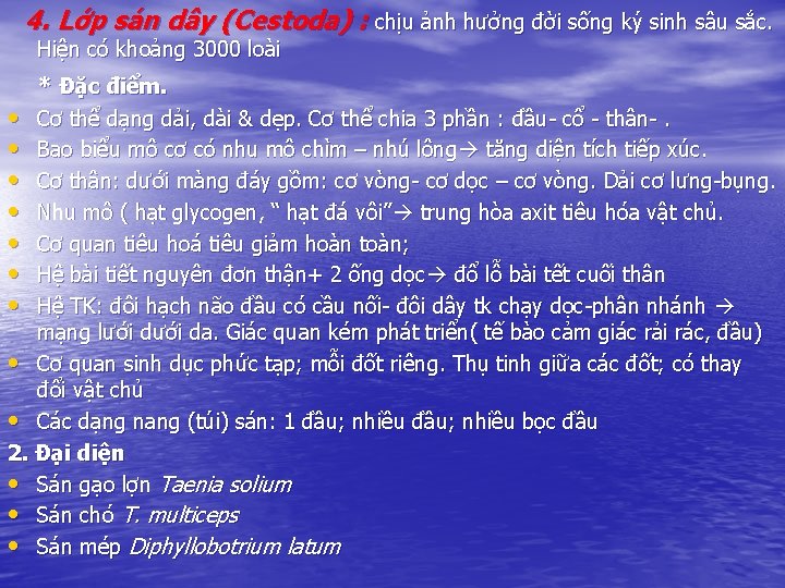 4. Lớp sán dây (Cestoda) : chịu ảnh hưởng đời sống ký sinh sâu