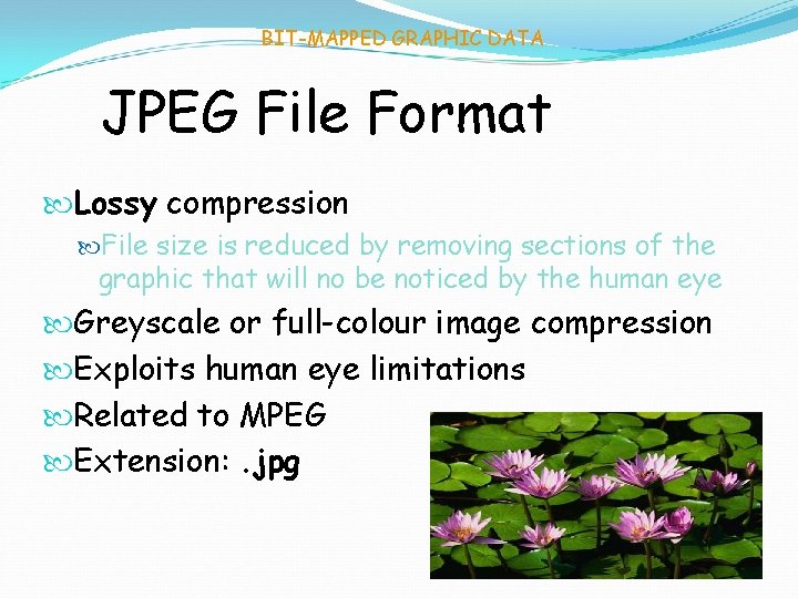 BIT-MAPPED GRAPHIC DATA JPEG File Format Lossy compression File size is reduced by removing