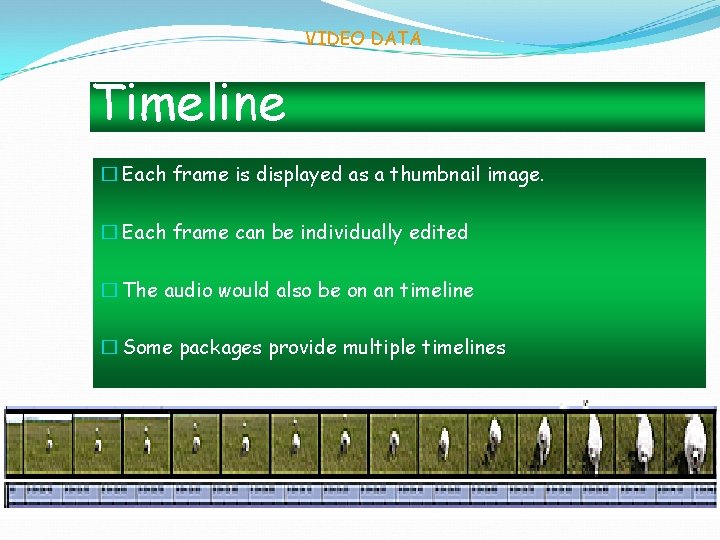 VIDEO DATA Timeline � Each frame is displayed as a thumbnail image. � Each