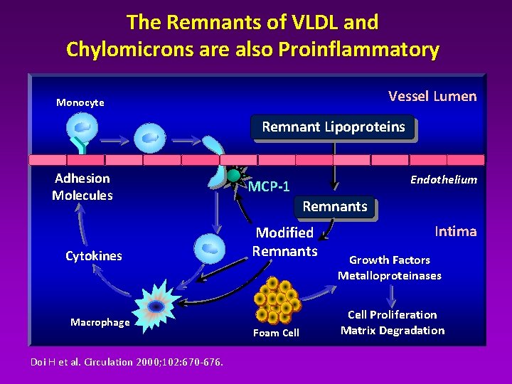 The Remnants of VLDL and Chylomicrons are also Proinflammatory Vessel Lumen Monocyte Remnant Lipoproteins