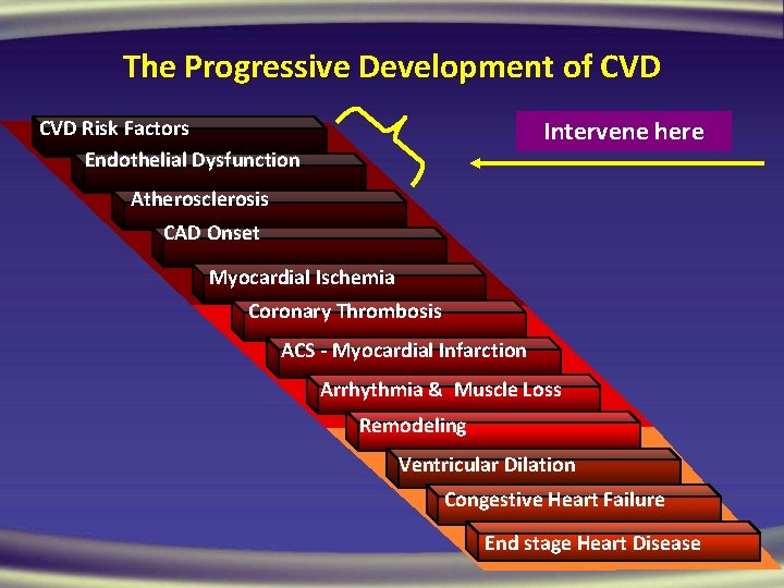 The Progressive Development of CVD Risk Factors Endothelial Dysfunction Intervene here Atherosclerosis CAD Onset