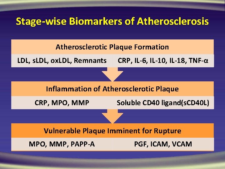 Stage-wise Biomarkers of Atherosclerosis Atherosclerotic Plaque Formation LDL, s. LDL, ox. LDL, Remnants CRP,