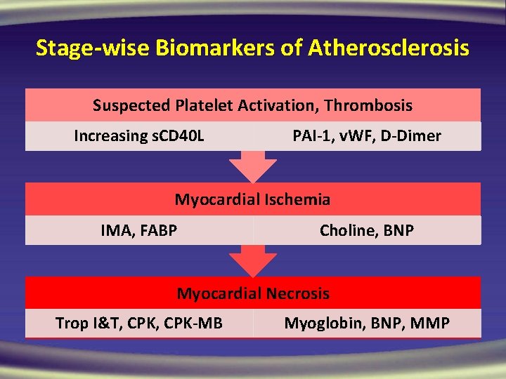 Stage-wise Biomarkers of Atherosclerosis Suspected Platelet Activation, Thrombosis Increasing s. CD 40 L PAI-1,