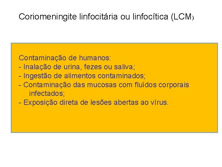 Coriomeningite linfocitária ou linfocítica (LCM) Contaminação de humanos: - Inalação de urina, fezes ou