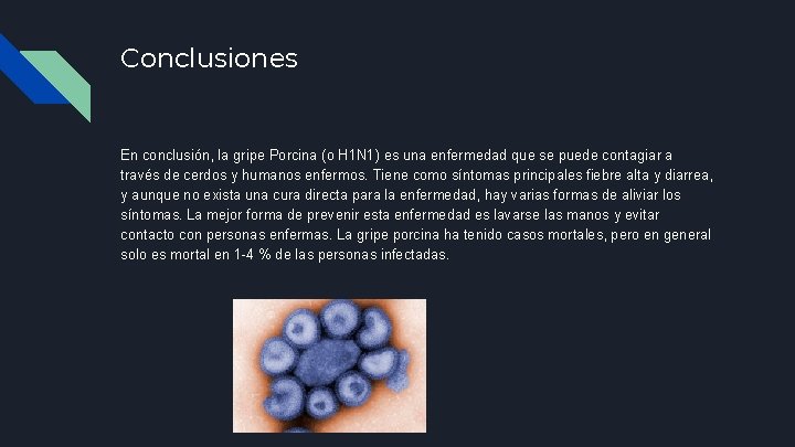 Conclusiones En conclusión, la gripe Porcina (o H 1 N 1) es una enfermedad