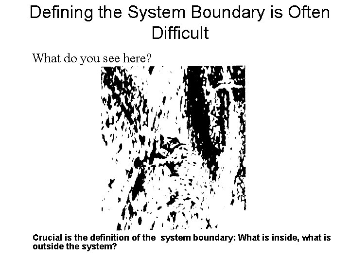 Defining the System Boundary is Often Difficult What do you see here? Crucial is