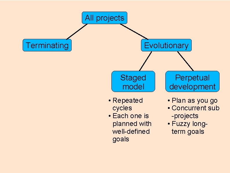 All projects Terminating Evolutionary Staged model • Repeated cycles • Each one is planned