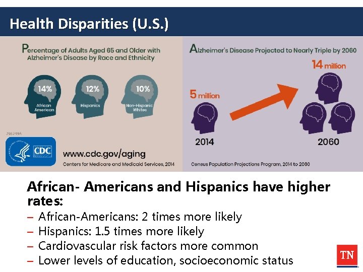 Health Disparities (U. S. ) African- Americans and Hispanics have higher rates: – –
