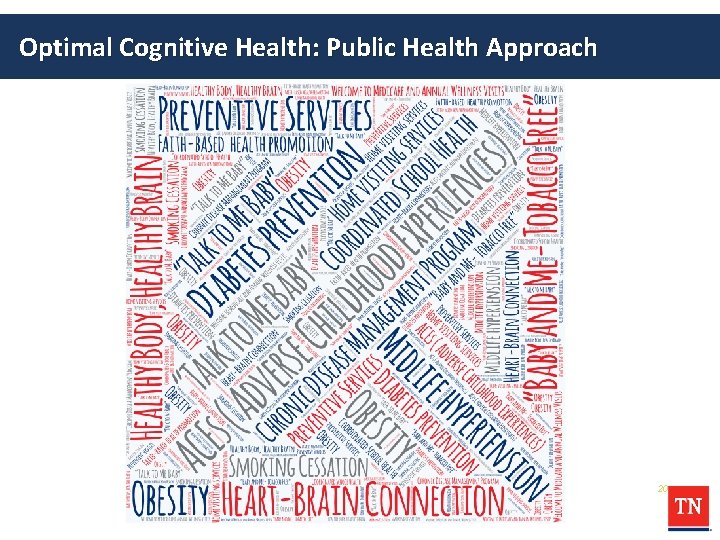 Optimal Cognitive Health: Public Health Approach 20 